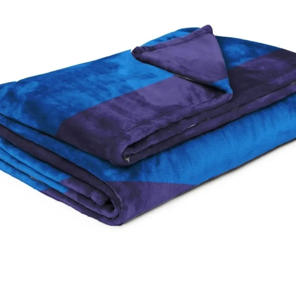 Bluey In‎ The Dreams Microfiber Twin Blanket